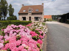 B&B Het Polderhof